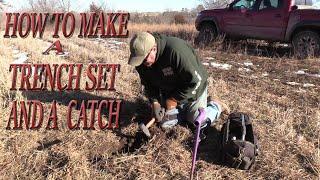 Ideas and Reasons for setting traps on key locations for all predators!  Including a  coyote catch!