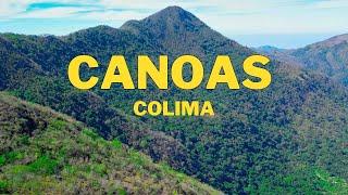 Canoas: La selva desconocida de Colima