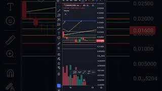 Should You Buy CATWIFMASK COIN in 2025?
