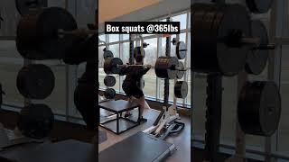 Box squats @ 365lbs