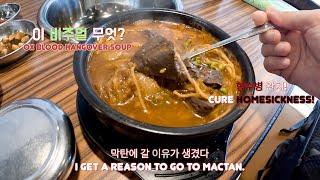 (4K영상) 필리핀 세부 한필가족 (KOPIC) - 멍석갈비에 빠지다! 향수병 완치각! KorPhil Fam in Cebu - Ox Blood Hangover Soup!