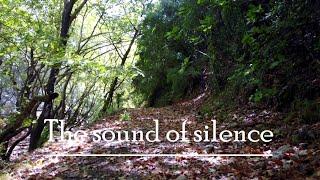 The Sound of Silence