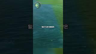 두 바다가 절대 섞이지 않는 이유
