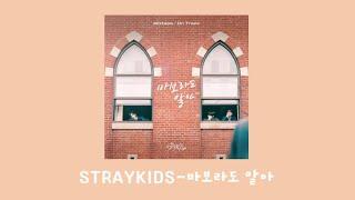 [PLAYLIST] 스트레이키즈 믹스테잎 노래모음 (straykids mixtape a collection of songs)