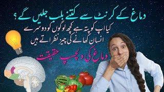 Interesting facts about the brain and learning in Urdu hindi | Urdu Science Channel