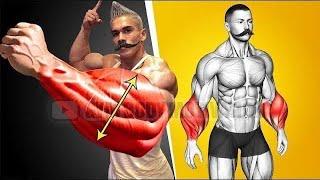 BIG ARMS WORKOUT AT HOME | Build Forearms Fastest using Dumbbell Only (5 Effective Exercise)