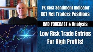 Forex Trading Reversals Best Indicator Using the COT For Profit: CAD Forecast