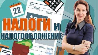 Налоговая декларация и налоговая ответственность (#22)