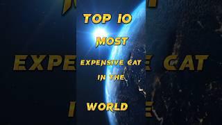 top 10 most experience car in the world || #viral #top10 #top5 #shorts