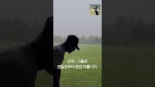 이걸 모르면… 평생 보기입니다 #진마켓골프 #golf #파울신
