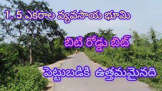 Agricultural Land For Sale Near Warangal||Investment Farm Land||Land For Sale#agrilands