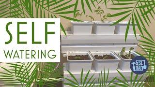 3 Ways To Grow Food Through The Winter