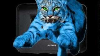 Bobcats Online IDFF Commercial