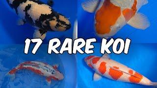 17 Most RARE and AMAZING KOI Varieties!