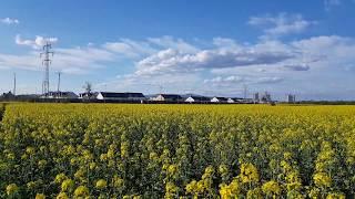 Fields, forests and orchards in Kelsterbach at Frankfurt Airport