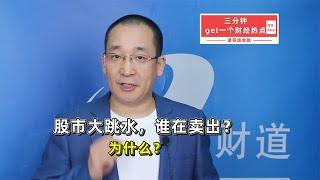 股市大跳水，谁在卖出？为什么？【道哥道金融】