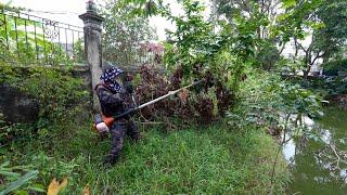 Fence Lakeside Worry Woman With Overgrown Grass Conversion Cleaning I Will Do