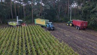 Loonbedrijf Nulens mais hakselen | Claas | John Deere 7530 | New Holland T7 & TM 155 |