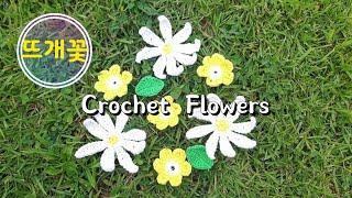 [뜨개로그] #뜨개꽃(데이지) 행복한 일주일 Crochet Flowers