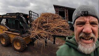 Throwing Away 10,000 Garlic Stems