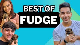 BEST MOMENTS OF FUDGE FROM RIMORAV VLOGS