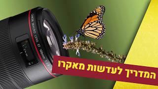 מה זה צילום מאקרו? מדריך צילום