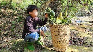 The poor boy went deep into the forest to pick wild vegetables and banana flowers to sell.