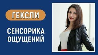 Гексли. Суггестивная БС. Сенсорика ощущений. Соционика. Типирование по аспектам.