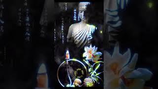 Buông Bỏ Chấp Niệm Để Cuộc Sống An Nhiên [Phật Dạy] [TSBLT]