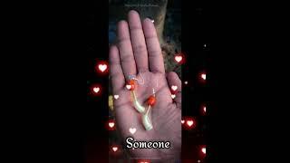 || Tarpa Lover'S Status || #palgharkar️