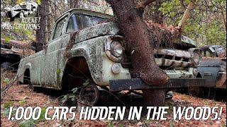 Hidden Collection Of 1,000 Vintage Cars On The Side Of A Mountain Heading To The Crusher Soon!