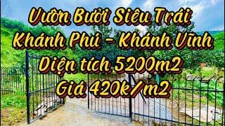 Vườn Bưởi Siêu Trái Khánh Phú - Khánh Vĩnh - Mua Bán Đất Nha Trang Khánh Hoà