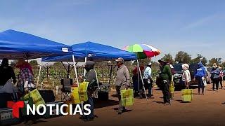 Newsom promulga leyes en beneficio de los trabajadores agrícolas inmigrantes | Noticias Telemundo