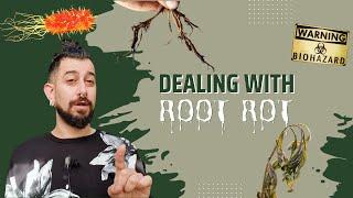 Ultimate Guide to Root Rot | Detection | Treatment | Rehab | Prevention