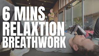 BREATHING Mechanics & DOWN REGULATION | 6min BREATHWORK Follow Along