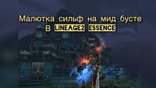 Малютка сильф на МИД бусте в Lineage 2 Essence