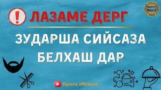 Зударша сийсаза белхаш дар