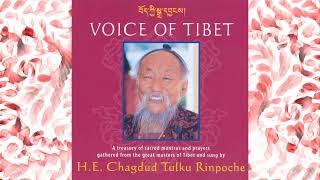 VOICE OF TIBET  ~ a treasury of sacred mantras and prayers sung by H.E. Chagdud Tulku Rinpoche