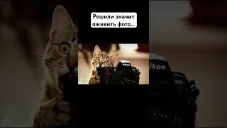 Как оживить фото при помощи нейросети #нейросеть #ии