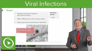 Types and Features of Viral Infections | Cellular Pathology