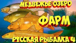 русская рыбалка 4 - Медвежье озеро - рр4 фарм Алексей Майоров russian fishing 4