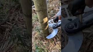 Electric Bamboo Cutting #bamboo #satisfying #diy