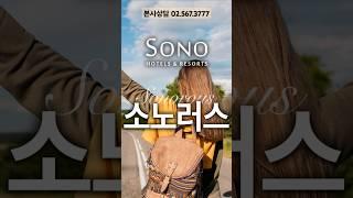 #소노호텔앤리조트회원권 표멤버십 #소노러스, VVIP 프리미엄 멤버십 #노블리안블랙