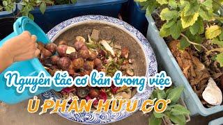 081 Ủ PHÂN HỮU CƠ làm phân bón tự nhiên, các nguyên tắc mọi người làm vườn hữu cơ tại nhà nên biết