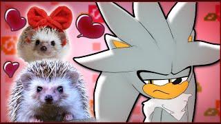 If Silver The Hedgehog was in a Cute Hedgehogs Compilation Video