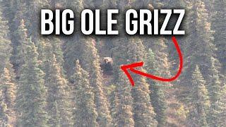 How to Hunt in Grizzly Country & Tips to Stay Safe!