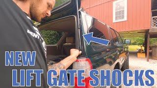 New Hatch Shocks Toyota 4Runner Lift Gate