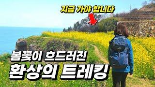 해안선 따라 걷는 힐링 트레킹