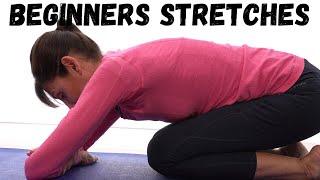 Beginners Stretching Exercises for General Flexibility - 10 MIN ROUTINE