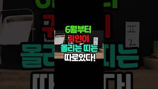 운명톡톡#6월부터 귀인이 몰리는 띠는 따로 있다 #지식#재물운